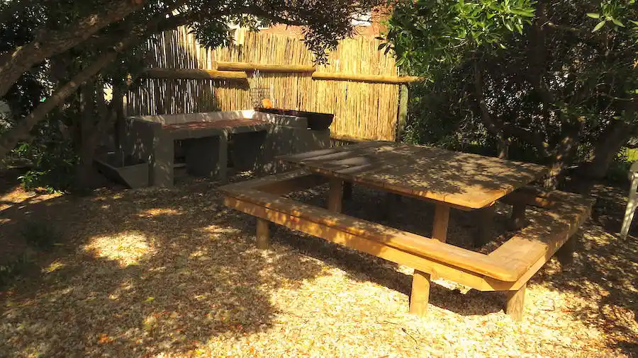 Garden braai area under trees